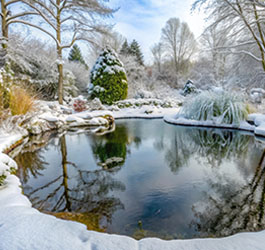 Eiszeit im Teich Zeit zu handeln bevor das Wasser kippt Blog