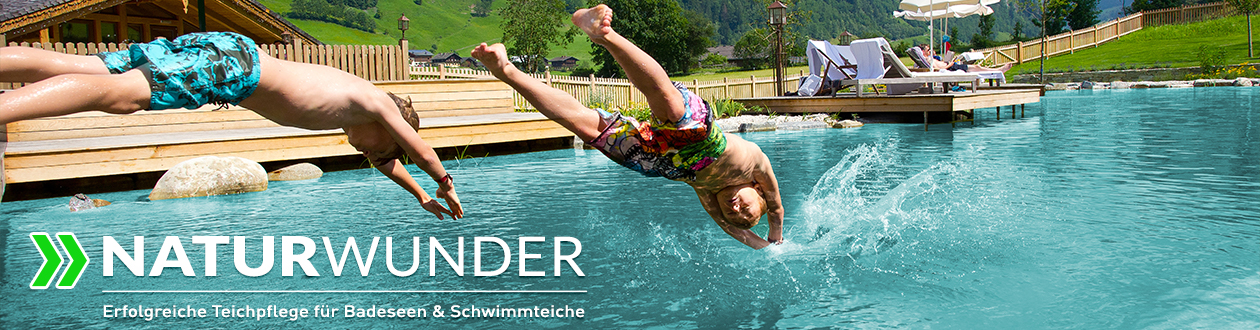 Effektive im Teich klares Wasser